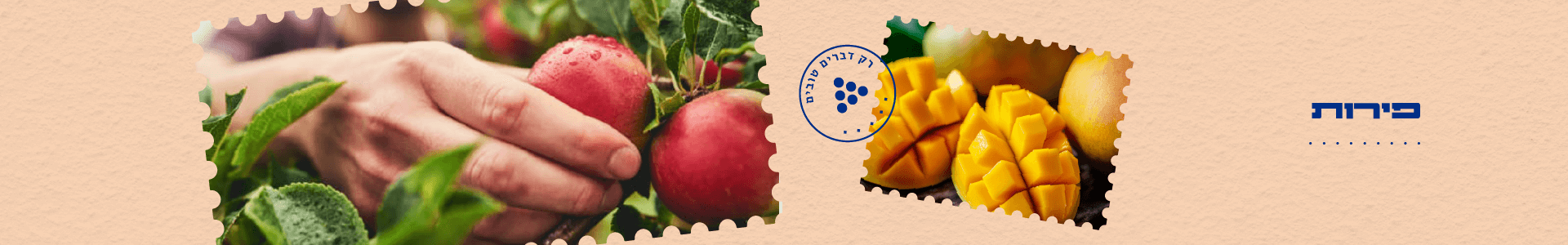 פירות
