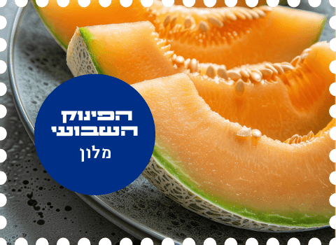 Asif-melon-03 (1)