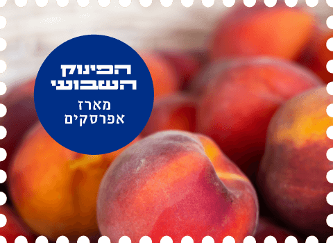 Asif-peach-03