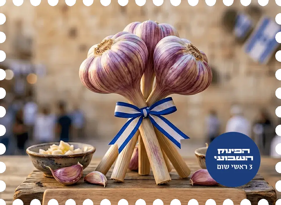 שום ישראלי.webphj0aarwag