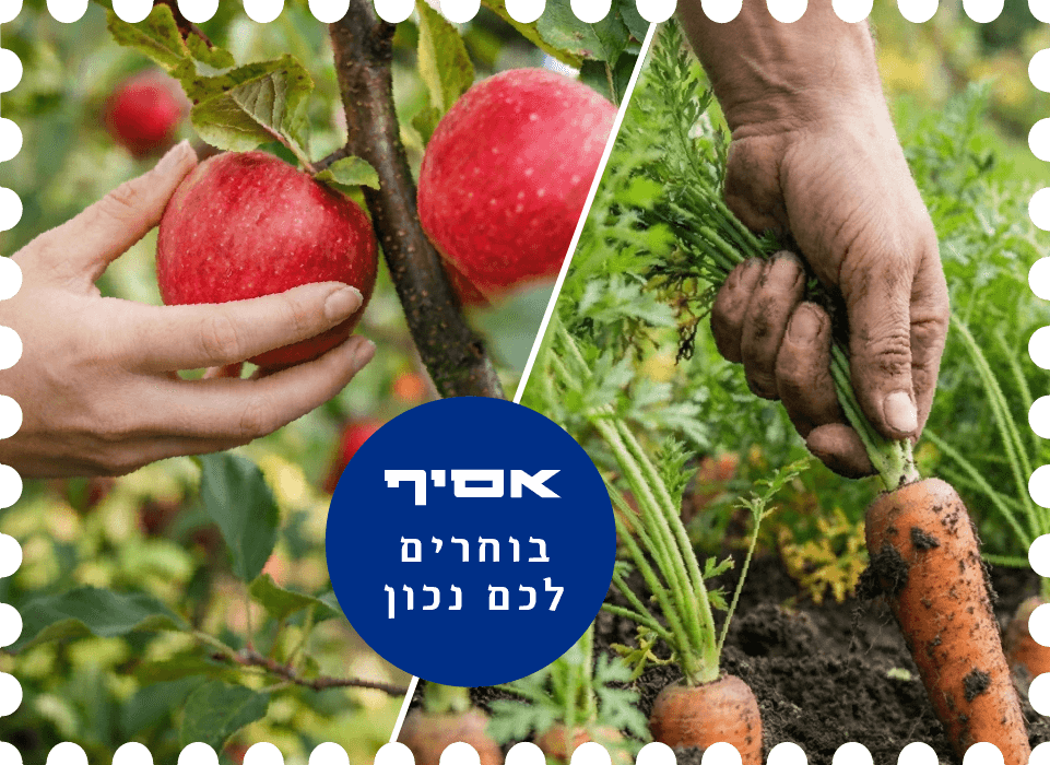 גנרי קוביה (1)