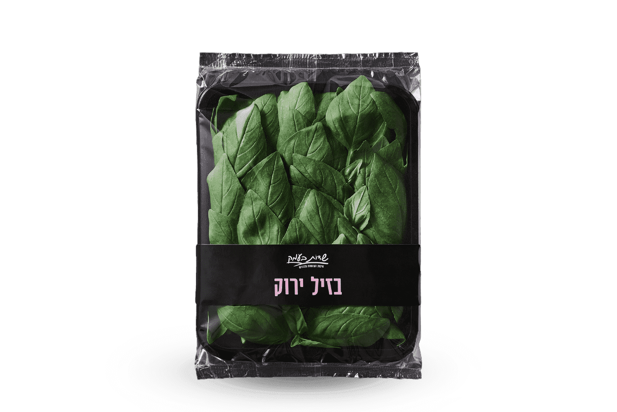 בזיליקום