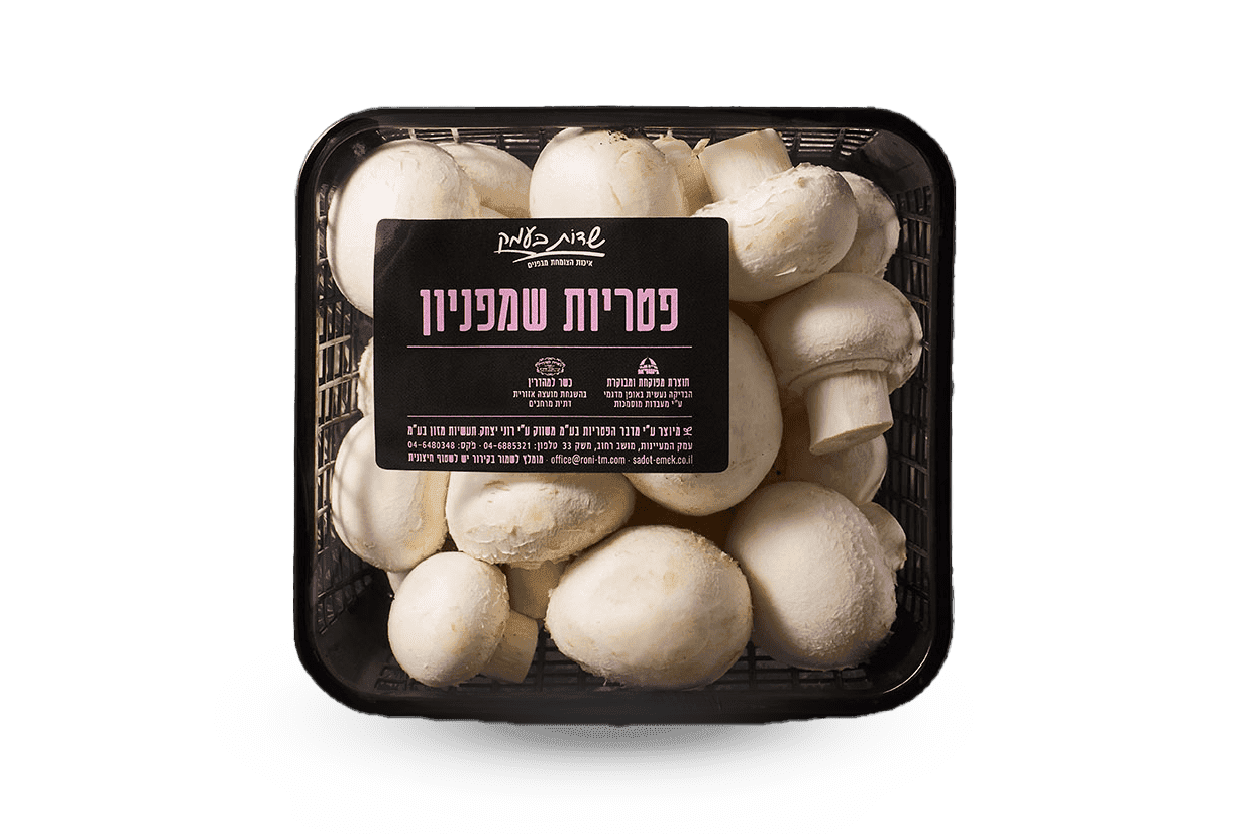 פטריות שמפיניון