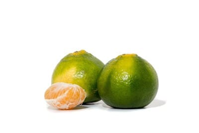 קלמנטינה סצומה