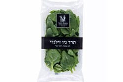 תרד ניו זילנדי