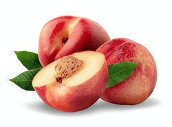 נקטרינה