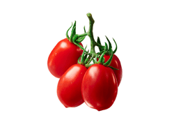 עגבניה שרי תמר לובלו