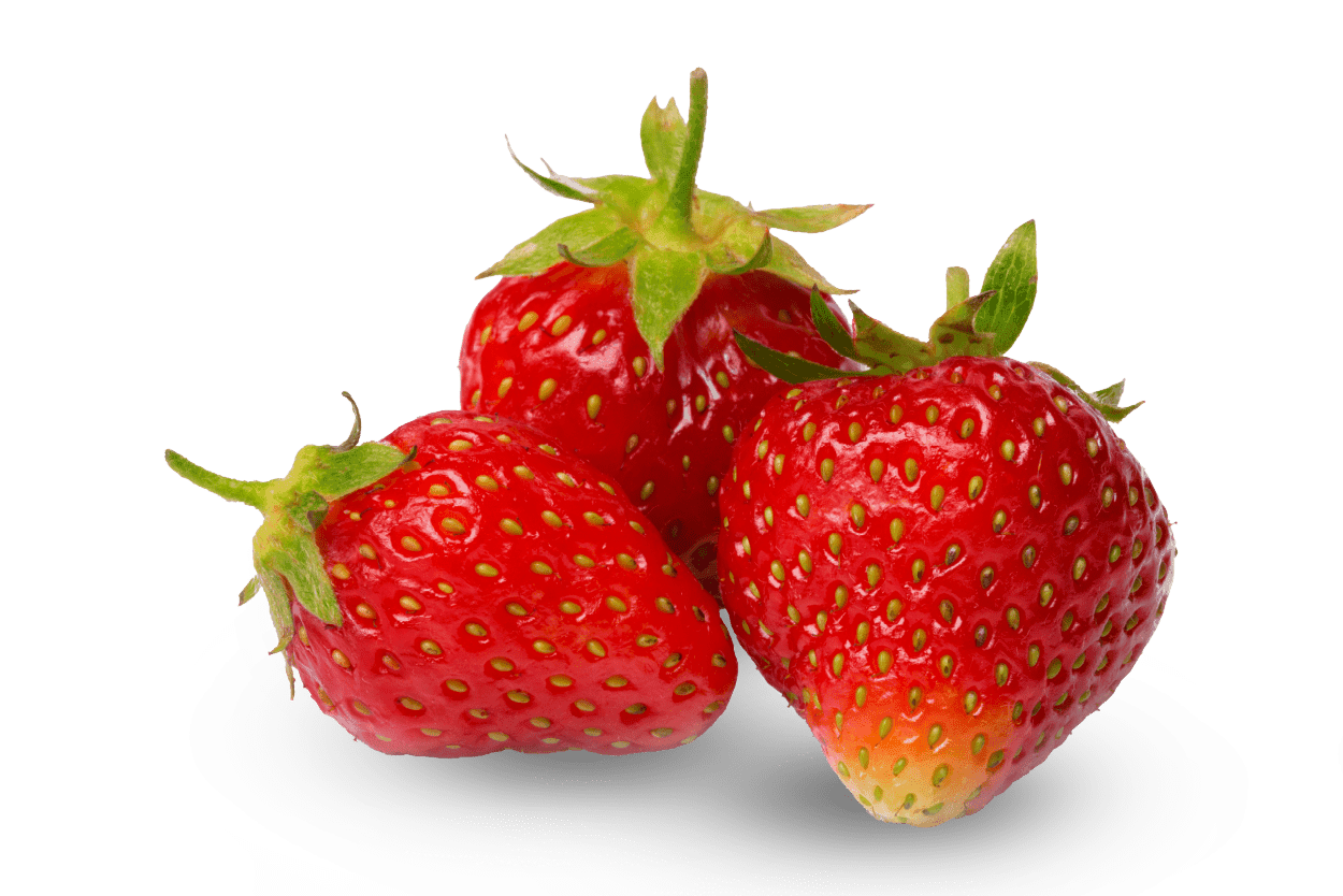 תות שדה תות שדה