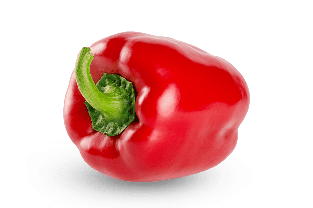 פלפל אדום פלפל אדום
