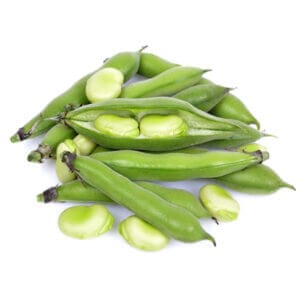 פול טרי פול טרי