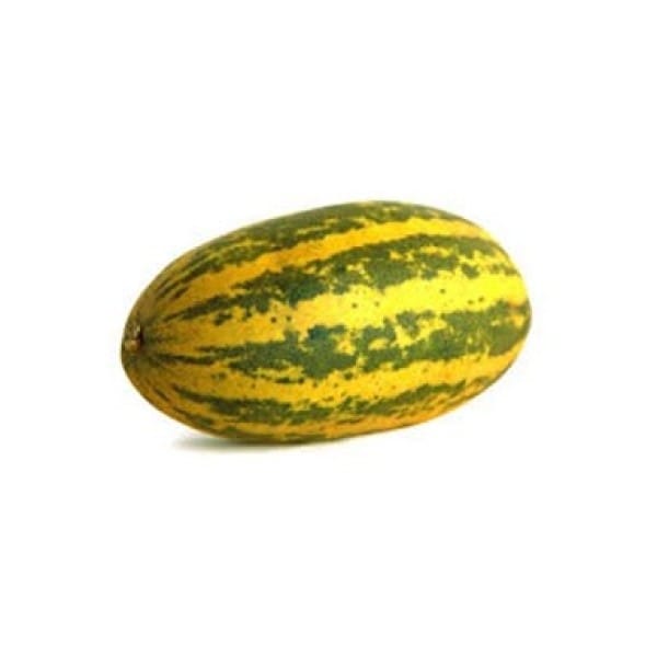 מלון פונטו מלון פונטו