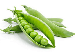 אפונה טרייה אפונה טרייה