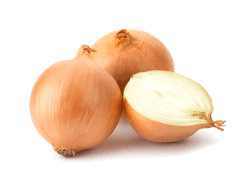 בצל יבש בצל יבש