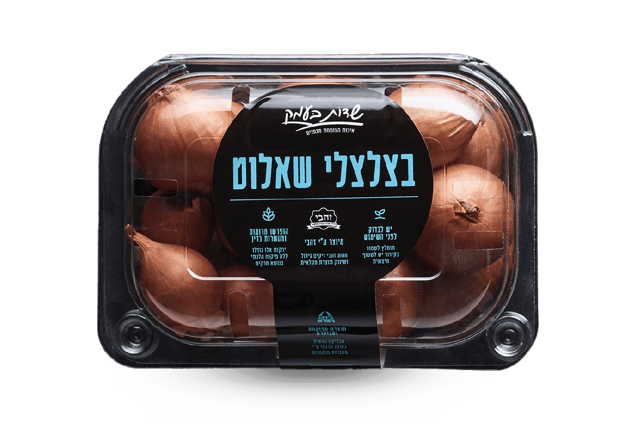 בצלצלי שאלוט בצלצלי שאלוט