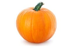 דלעת אישית דלעת אישית