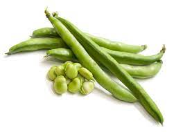 מארז שעועית ירוקה בלאדי מארז שעועית ירוקה בלאדי